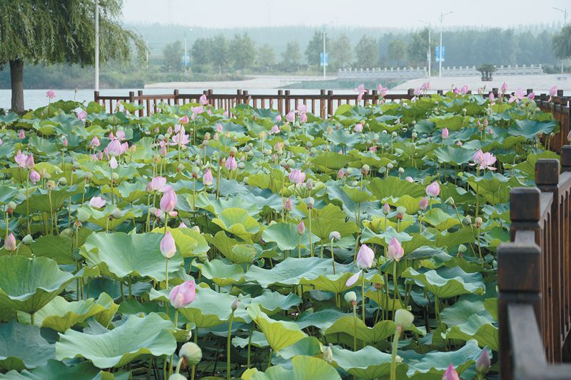 点击浏览下一页